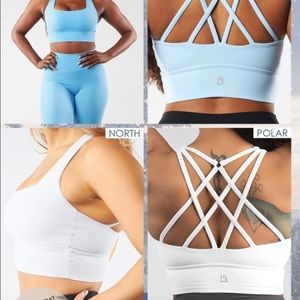 Buffbunny Revolution Sports Bra North